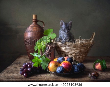 Still life with fruits, snail and little gray kitten