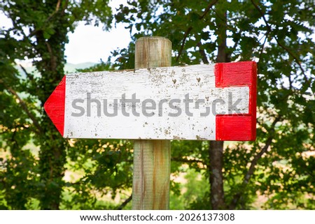 Weathered directional blank sign indicating hanging on wooden pole in a wood - image with copy space