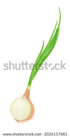Cutted golden onion with leaves isolated on white background.