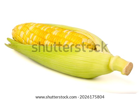 Two colors sweet corn,isolated on white background