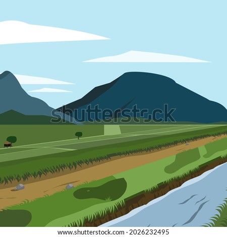 vast Rice Paddy with side road and irrigation ditch