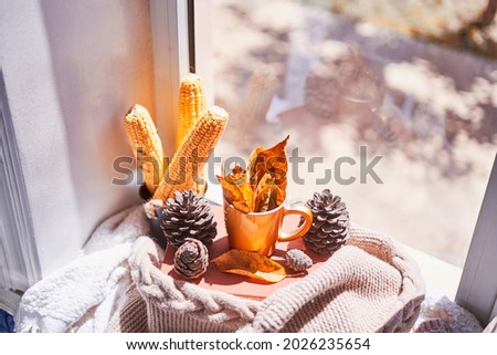 Corns, autumn leaves, pine cones and coffee cup on windowsill. Creative autumnal background near the windows in a sunny autumn day Royalty-Free Stock Photo #2026235654