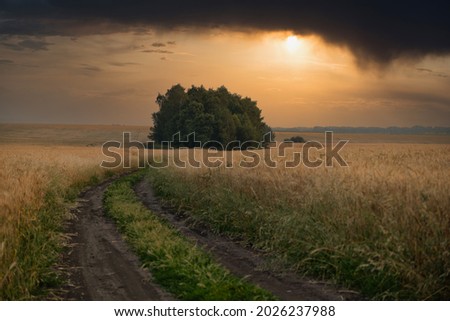 Dramatic landscape view with heavy black stormy clouds over a road snaking through the wheat field to tree group. Summertime, countryside, agriculture, cereal cultivation, meteorological phenomena. Royalty-Free Stock Photo #2026237988