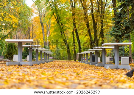 Chess tables covered with yellow leaves in an autumn park.