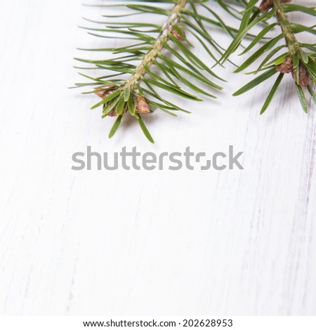 fir branches on a white wooden background