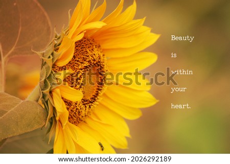 Beauty  is  within  your  heart.- Motivation wording with sunflower vintage background.