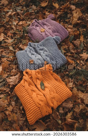 autumn knitted cardigan pumpkin leaves