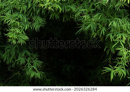 Bamboo leaves surround the dark area in the middle.