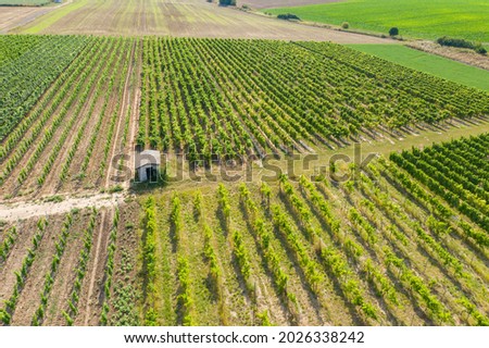 Bird's eye view of a vineyard with a vineyard house in Rheinhessen - Germany 