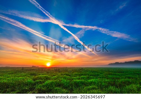 sunrays in the green grass at dawn on a background of blue sky's