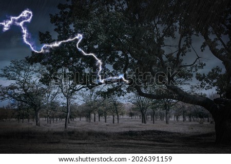 Dark cloudy sky with lightning striking tree. Thunderstorm