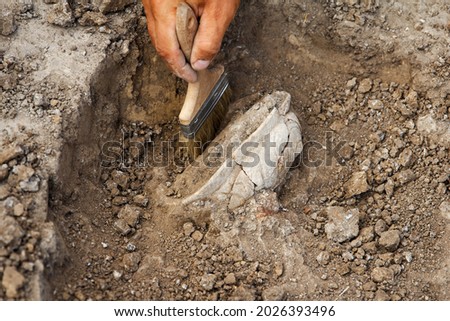 Professional Archaeological excavations, archaeologists work, dig up an ancient clay artifact with special tools in soil Royalty-Free Stock Photo #2026393496