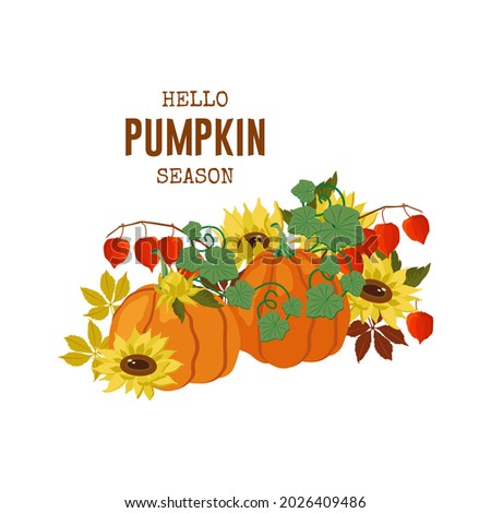 A collection of autumn themed clip arts, elements for cards, invitations, frames, etc. Design elements in the form of leaves, sunflowers, pumpkins and physalis flowers. Vector illustration.