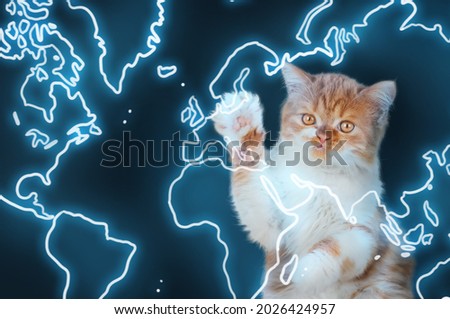 A ginger kitten presses its paw into the glowing outline of the world map.