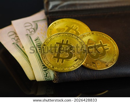 Gold bitcoins and a bundle of American dollars on a black wallet. Cryptocurrency, financial flow, e-commerce, financial exchange, popular electronic money. High earnings, risk.