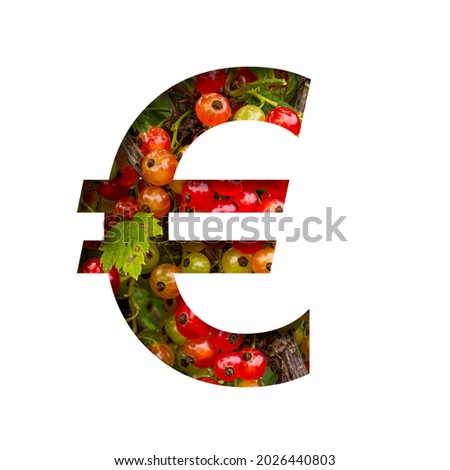 Font on red currant. Euro money business symbol cut out of paper on the background of bright ripe bunches of red currants berries. Fruit or berry decorative alphabet, font collection.