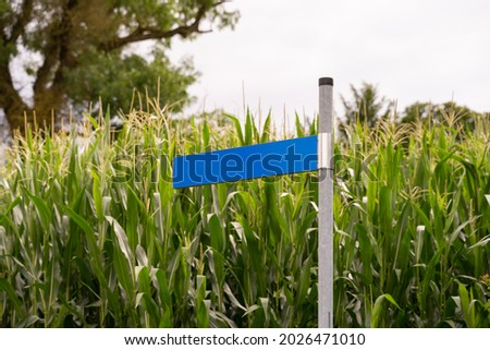 Empty blue road sign. Blank street plate in front of green plants. This is a metal sheet where the name of the road is printed on. It is used for orientation and information. It can be used as mockup