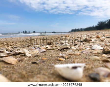 shells picture on the sand of a beach in Thailand, the background of the sky and the sea, the waves crash against the shore, line with green trees.