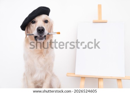 Dog artist. A golden retriever sits in a beret near an easel with a white blank and holds a brush in its teeth. Place for text or picture