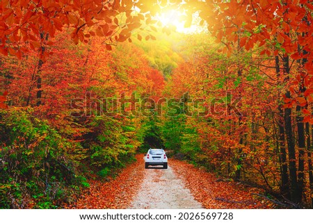 Car driving on the road in the forest in autumn season. Autumn colors bring the forest to life. Autumn landscape in the deep forest. Autumn view on a sunny day. Domanic, Kutahya, Turkey. Royalty-Free Stock Photo #2026569728