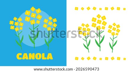 Canola flower vector illustration. Canola flower concept in flat style. Canola flowers