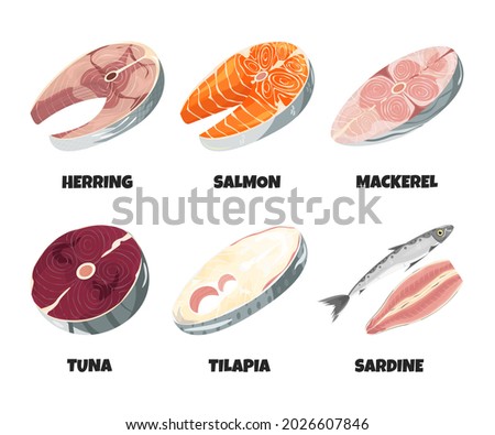 Raw fresh fish steak collection isolated on white. Realistic trout, herring, sardine, mackerel, tuna, tilapia fillet, seafood product with omega, design element set. Vector cartoon flat illustration Royalty-Free Stock Photo #2026607846