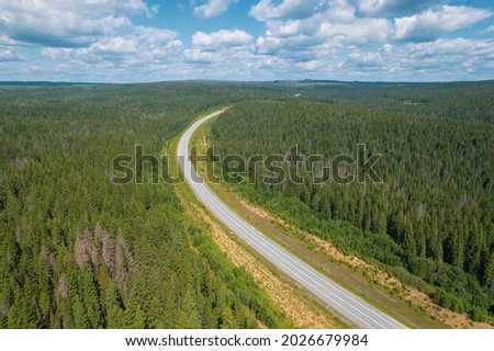 Aerial view of scenic road between green trees with pines on a sunny summer morning. Nature landscape in Siberia, Russia. A road passing through a coniferous forest, aerial shot from a drone.