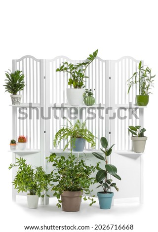 Modern folding screen with houseplants on white background