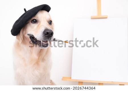 Dog artist. A golden retriever sits in a beret near an easel with a white blank and holds a brush in its teeth. Place for text or picture