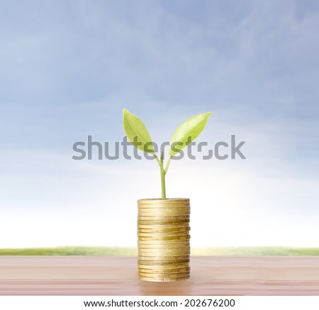 plant on gold coins and the graph them 