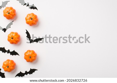 Top view photo of small pumpkins and bats silhouettes on isolated white background with copyspace