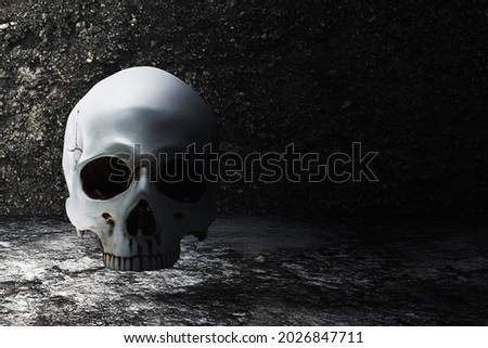 Human skull on the floor with grunge wall background. Halloween concept