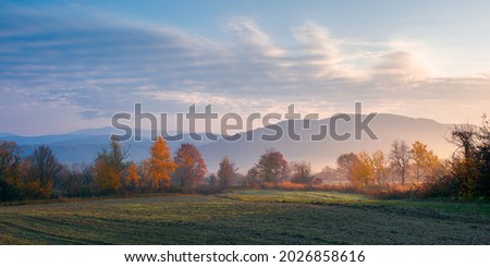 foggy rural landscape at sunrise. beautiful mountainous countryside in late autumn season. empty fields. trees in red and orange foliage. hazy atmosphere