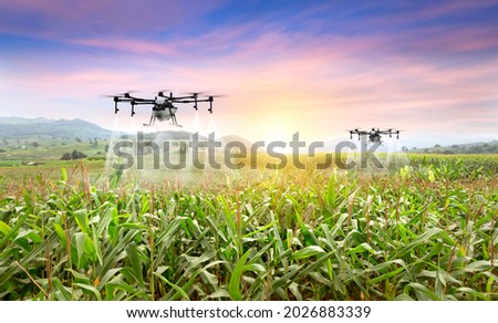 Agriculture drone fly to sprayed fertilizer on the sweet corn fields. smart farmer use drone for various fields like research analysis, terrain scanning technology, smart technology concept. Royalty-Free Stock Photo #2026883339