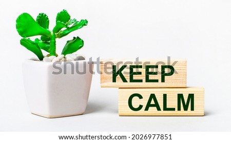 On a light background, a plant in a pot and two wooden blocks with the text KEEP CALM