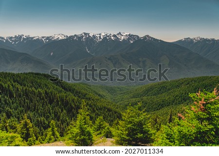 The Olympic mountains in summer, viewed from the Hurricane Hill trail in Olympic National Park.