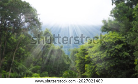 landscape of mountains and trees and green nature landscape blurry sun