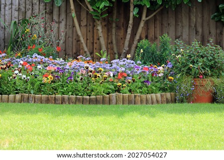 Colourful Summer Pansies And Blue Ageratum Flowers Blooming In A Garden Flower Bed.
