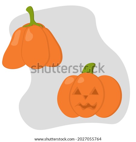 Two bright pumpkins of different shapes, pumpkin facing Halloween vector illustration