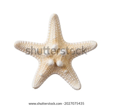 Knobby starfish isolated on a white background. One dried five finger fish or sea star macro. Summer vacations and sea holidays design element for greeting card, postcard and banner. Top view. Royalty-Free Stock Photo #2027075435