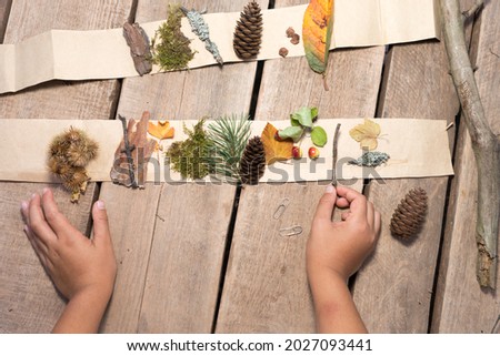 kids set for creativity, collection of colorfull fall, leaves for herbarium Royalty-Free Stock Photo #2027093441