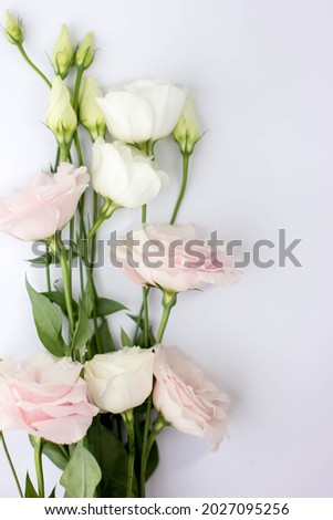 Bouquet of eustoma. Eustoma flowers isolated on white background. Bouquet of eustoma on the wall background
