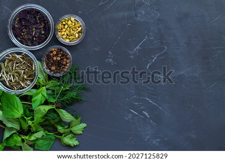 fresh and dry spices for cooking. food ingredients on the black table. flat lay background with green herbs, spices and garlic with copy space. top view.