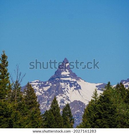 Beartooth Mountain with snow and trees