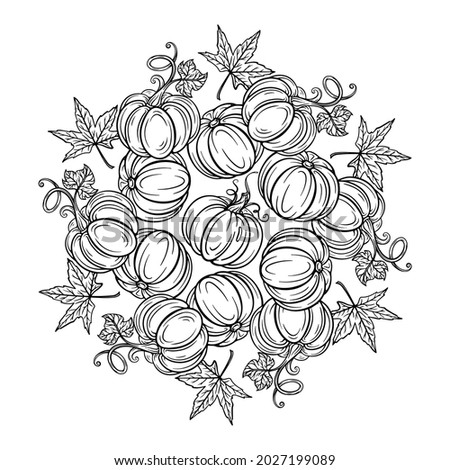 Black and white autumn ornament. Pumpkins and autumn leaves Thanksgiving Day coloring page