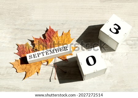 Calendar for September 3 : the name of the month of September in English, cubes with the numbers 03, two maple leaves on a gray background in the sun, shadows from objects, top view