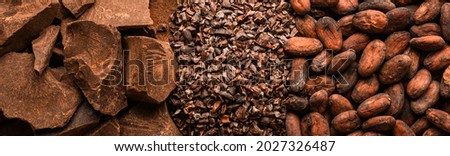 Cocoa beans and natural chocolate pieces, long banner Royalty-Free Stock Photo #2027326487