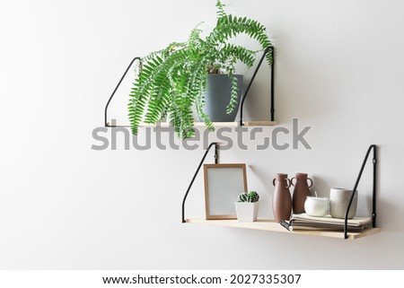 Modern shelves with decor and houseplants hanging on light wall