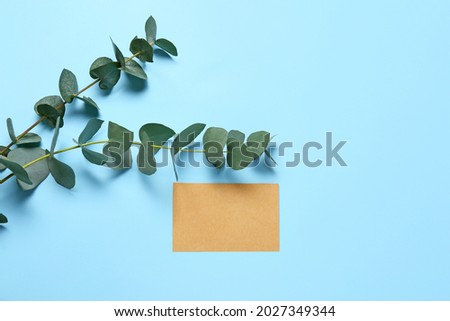 Eucalyptus branches and empty card on color background