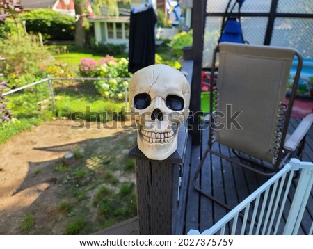 A skeleton head sitting on a railing end. The banister is made of wood and is decorated with white lattice in between the beams. This spooky image is perfect for Halloween and haunted dreams.